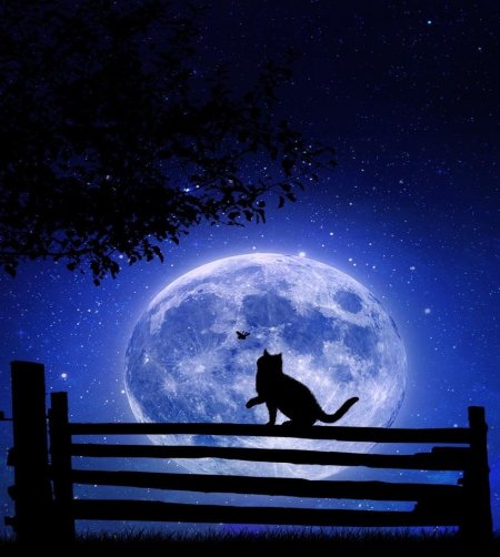 Лунная ночь