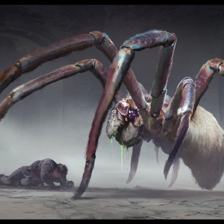 Арахнид паук