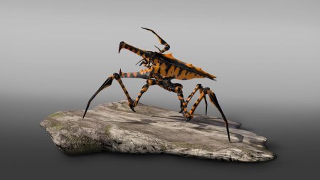 Звездный десант арахниды