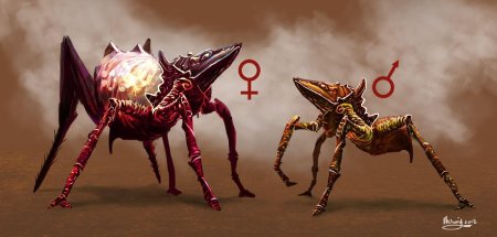 Звездный десант арахниды