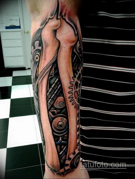 Биомеханика на предплечье