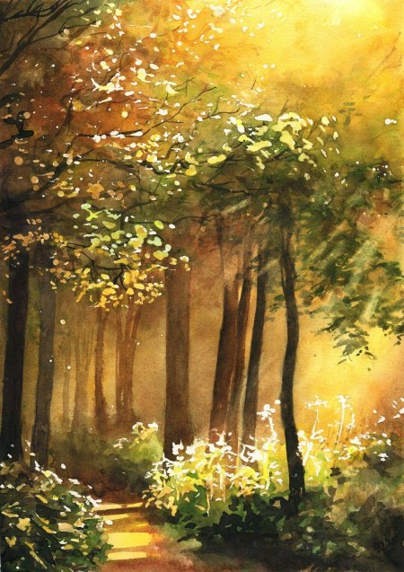 Солнечный лес