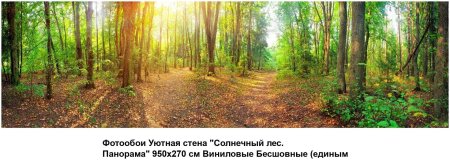 Солнечный лес