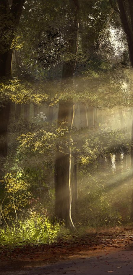 Волшебный пейзаж