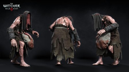 Ведьмак 3 ведьмы с кривоуховых топей