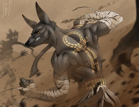 Анубис фурри