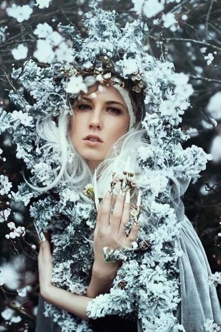 Белла котак