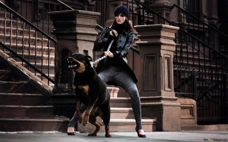 Ирина шейк фотосессия с доберманом