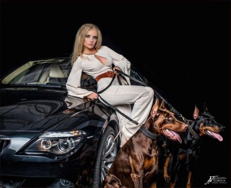 Девушка с доберманами