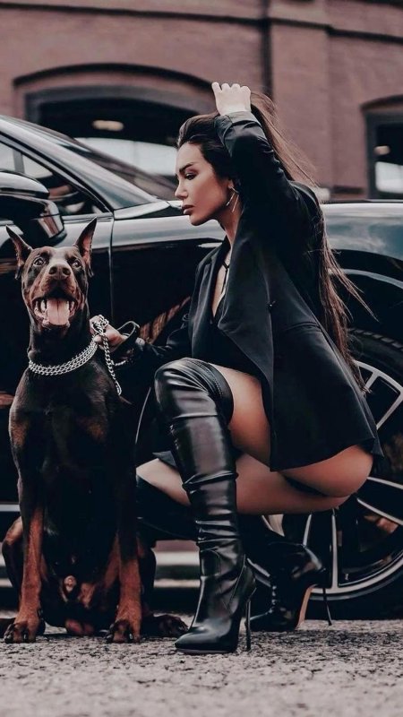 Модель йована вентура с доберманом