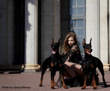 Девушка с доберманами