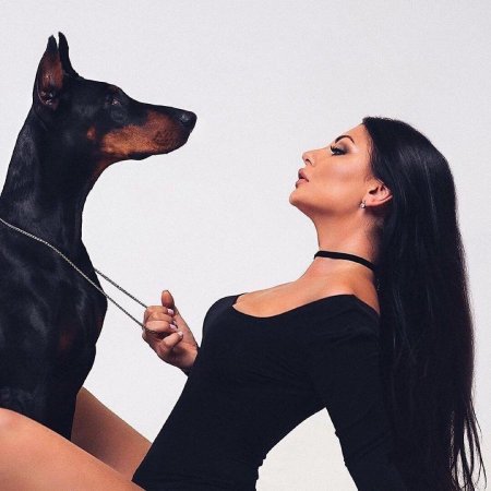 Фотосессии с доберманом