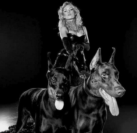 Ирина шейк с доберманом