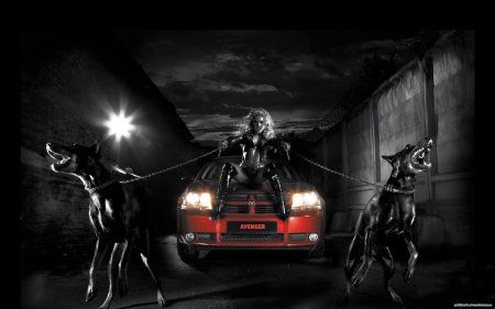 Фотосессии с доберманом