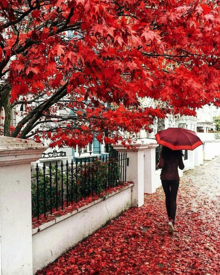 Девушка с красным зонтиком