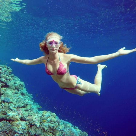 Девушка в купальнике под водой