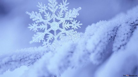 Зима снежинка