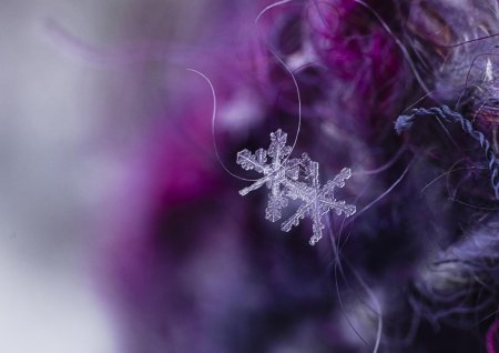 Макросъемка снежинок