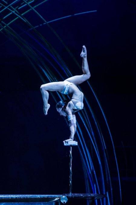 Девушки в цирке