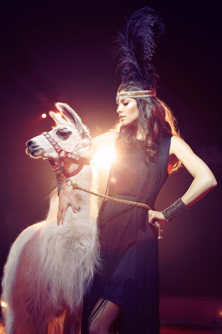 Цирковые образы