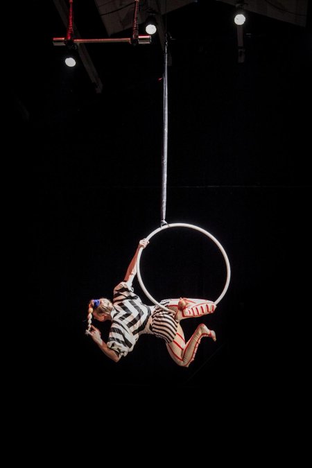 Цирк дю солей воздушные гимнасты