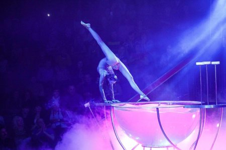 Девушка в цирке