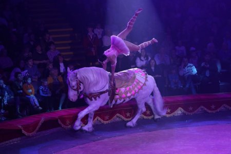 Московский цирк никулина