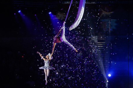 Воздушные гимнасты