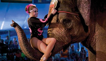 Девочка и слон цирк