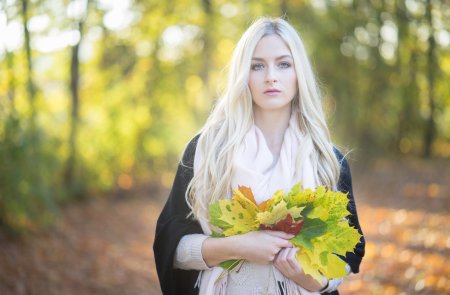 Красивые девушки осенью