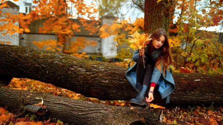 Осенние фотосессии