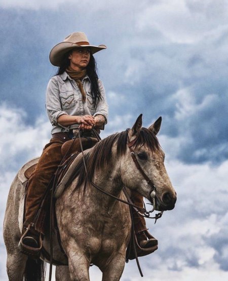 Вестерн лошади ковбой