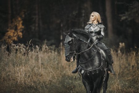 Дарья лефлер black knight