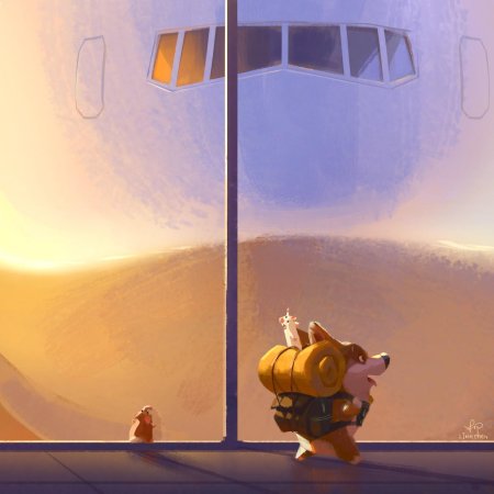 Lynn chen корги