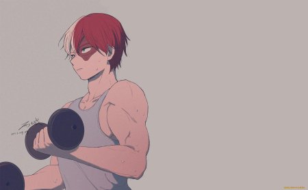 Моя геройская академия шото