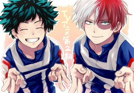 Аниме моя геройская академия тодороки