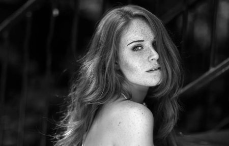 Портрет luca hollestelle