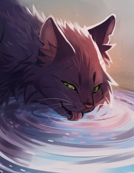 Громозвёзд коты воители