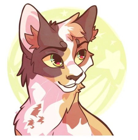 Коты воители пестролистая