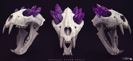 Черепа животных с кристаллами