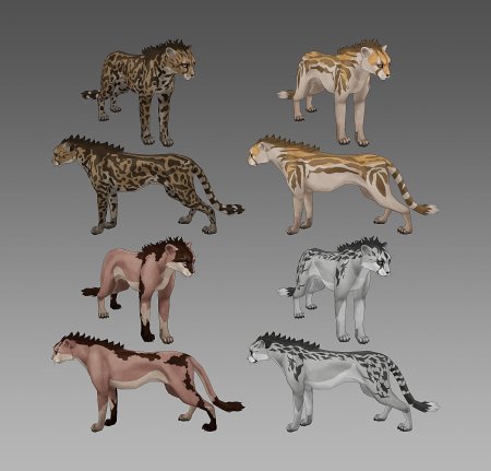 Вилд крафт гепард арт