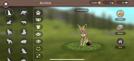 Вилд крафт рысь вайлд