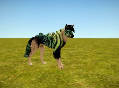 Ферал хеарт