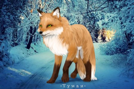 Wildcraft рысь арт