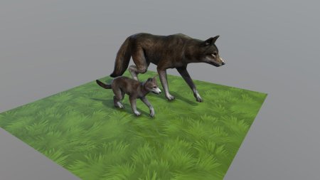 Вайлд крафт волк