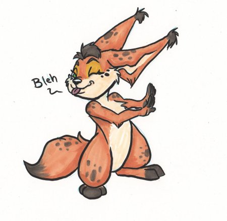 Фурри белка