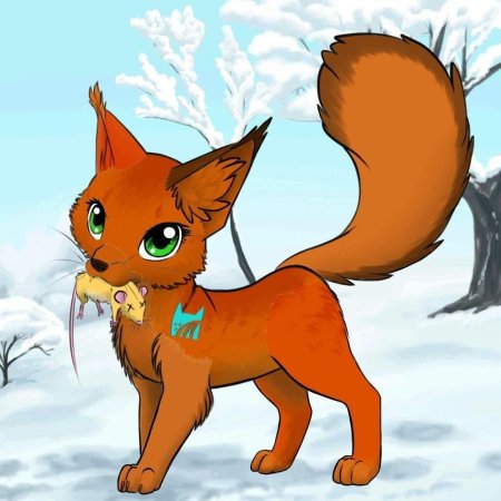 Коты воители белка