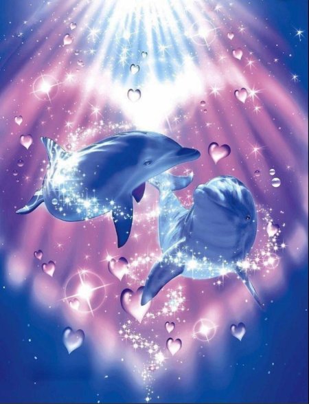 Милые дельфины