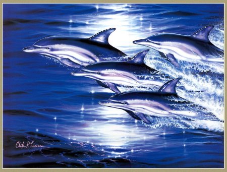 Картины с дельфинами
