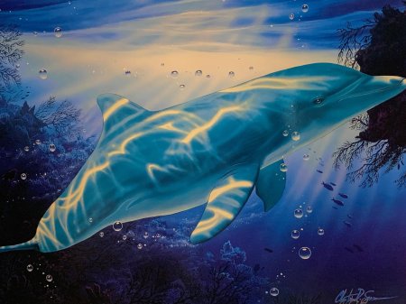 Дельфин картина